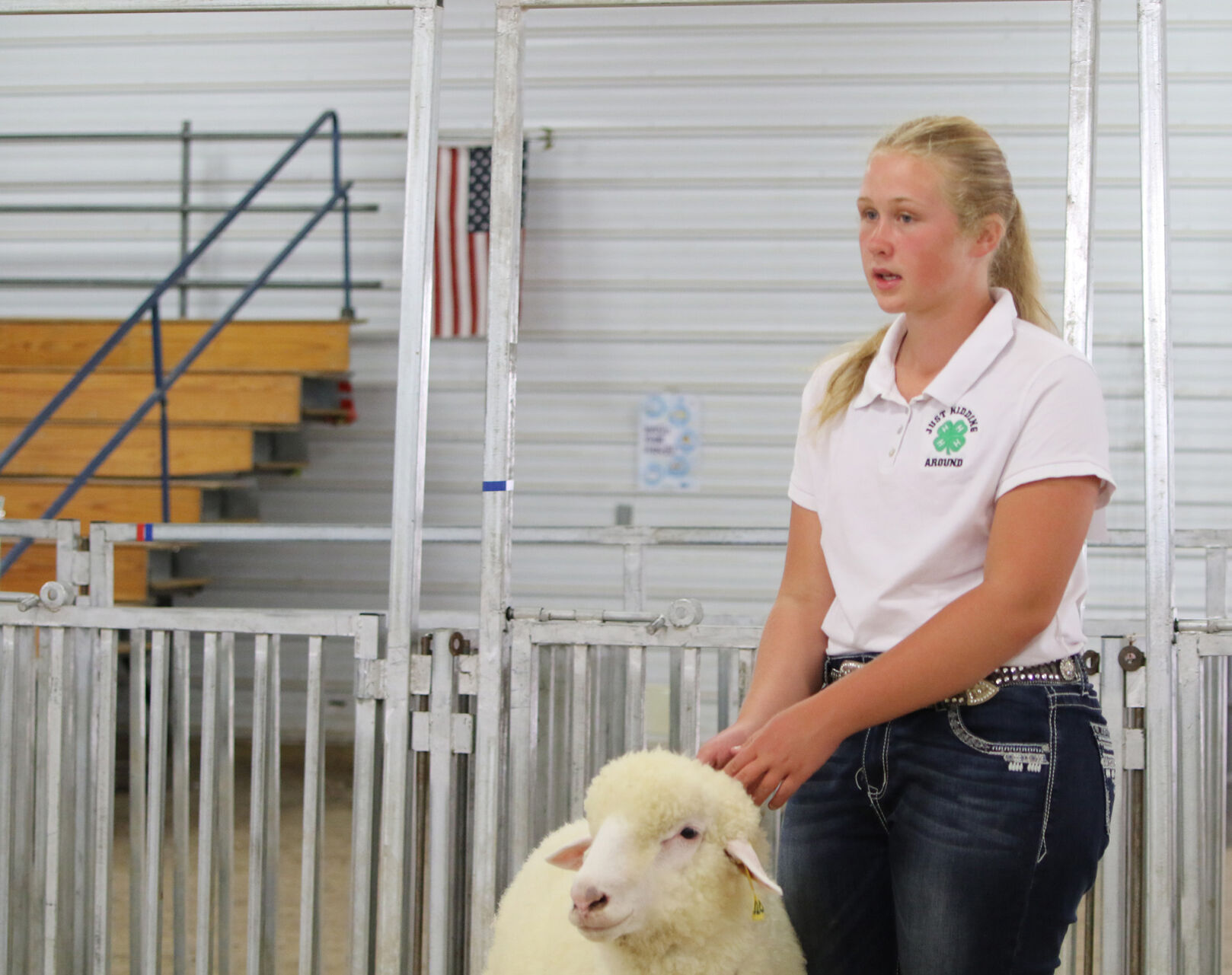 PHOTOS: Fiber Animal Show